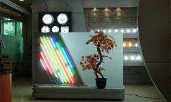 亚傅体育登录展厅